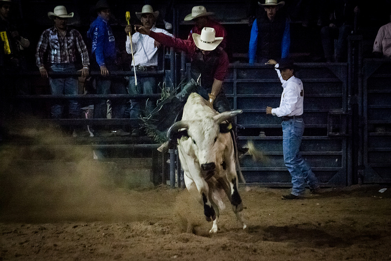 2014 Waconia Professional Rodeo & Mackenthun's Ribfest - Unofficial ...